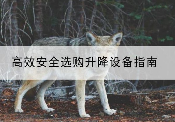 龙圩升降货梯厂家推荐-*安全选购升降设备指南