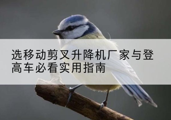 龙圩电动升降机厂家-选移动剪叉升降机厂家与登高车必看实用指南