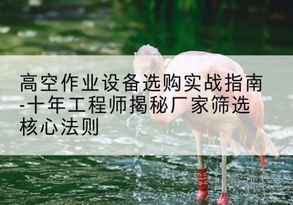 龙圩剪叉式升降机厂家-高空作业设备选购实战指南-十年工程师揭秘厂家筛选核心法则